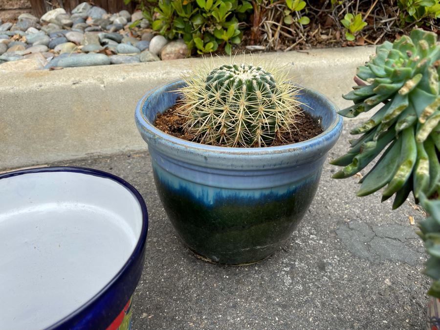 Collection Of Mainly Mexican Triple Glazed Pots And Plants Apx 13 Pots [Photo 6]
