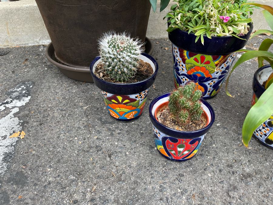 Collection Of Mainly Mexican Triple Glazed Pots And Plants Apx 13 Pots [Photo 16]