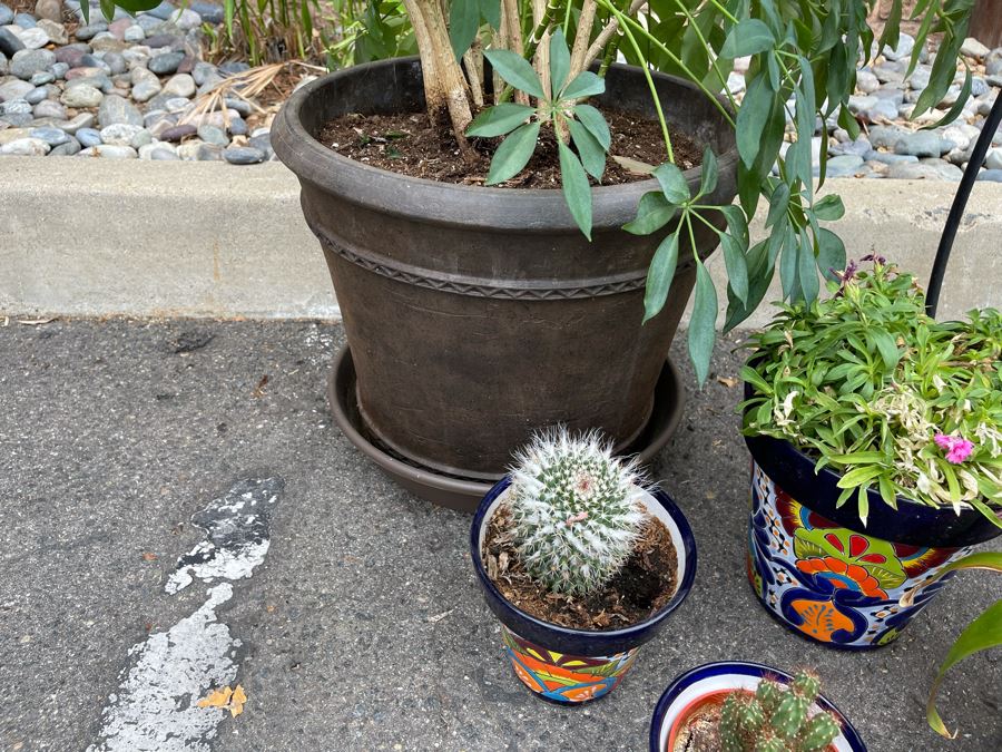 Collection Of Mainly Mexican Triple Glazed Pots And Plants Apx 13 Pots [Photo 19]