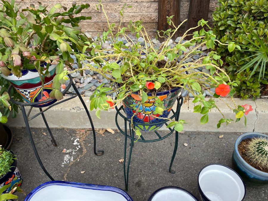 Collection Of Mainly Mexican Triple Glazed Pots And Plants Apx 13 Pots [Photo 9]