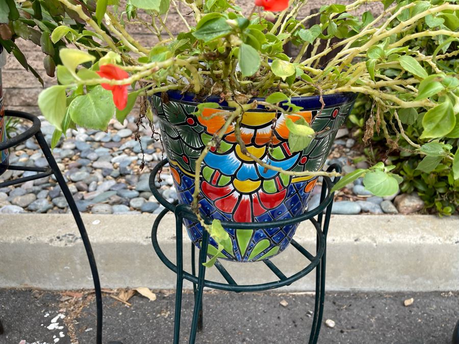 Collection Of Mainly Mexican Triple Glazed Pots And Plants Apx 13 Pots [Photo 10]