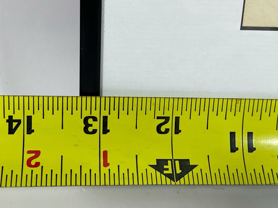 Vintage 1986 Ben Houstie BC Ink Drawing Of Dolphin Framed Frame Measures 13 X 17 [Photo 8]