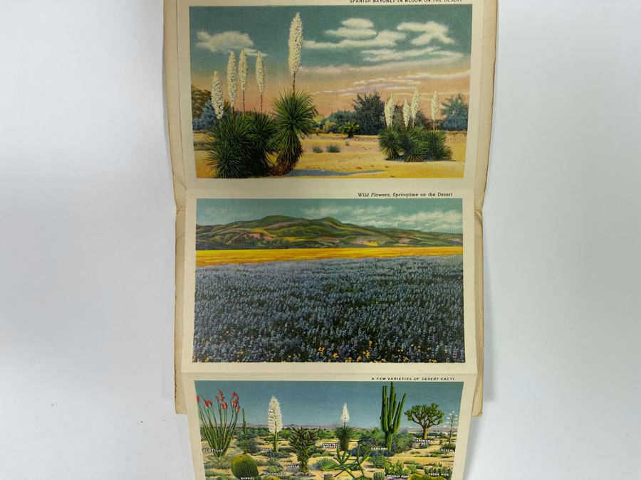 JUST ADDED - Four Vintage Souvenir Accordion Double-Sided Foldout Postcards: Chicago World’s Fair, Yellowstone National Park, California Desert Scenes And California Highways [Photo 20]