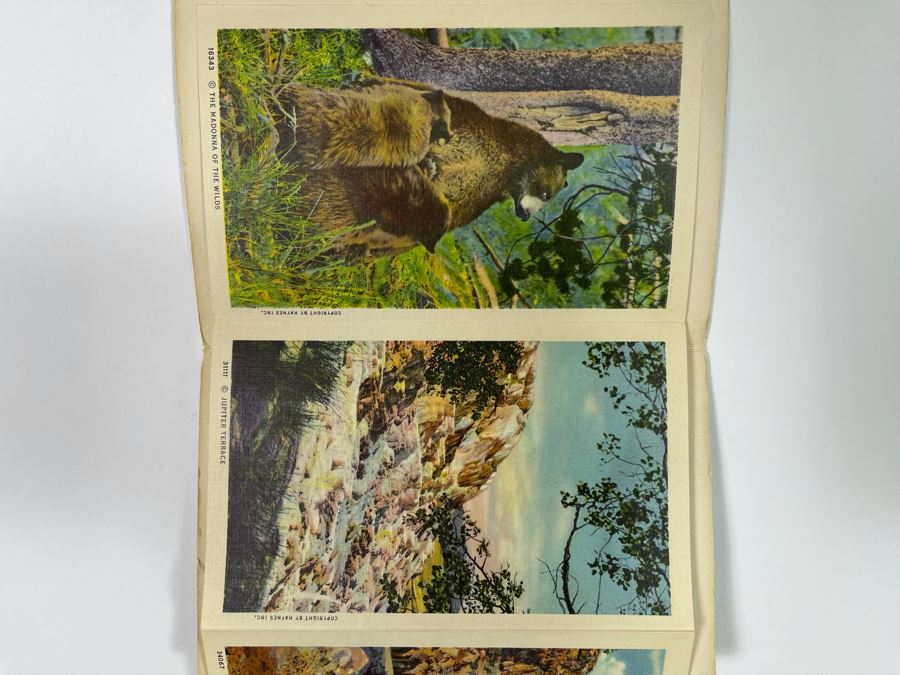 JUST ADDED - Four Vintage Souvenir Accordion Double-Sided Foldout Postcards: Chicago World’s Fair, Yellowstone National Park, California Desert Scenes And California Highways [Photo 28]