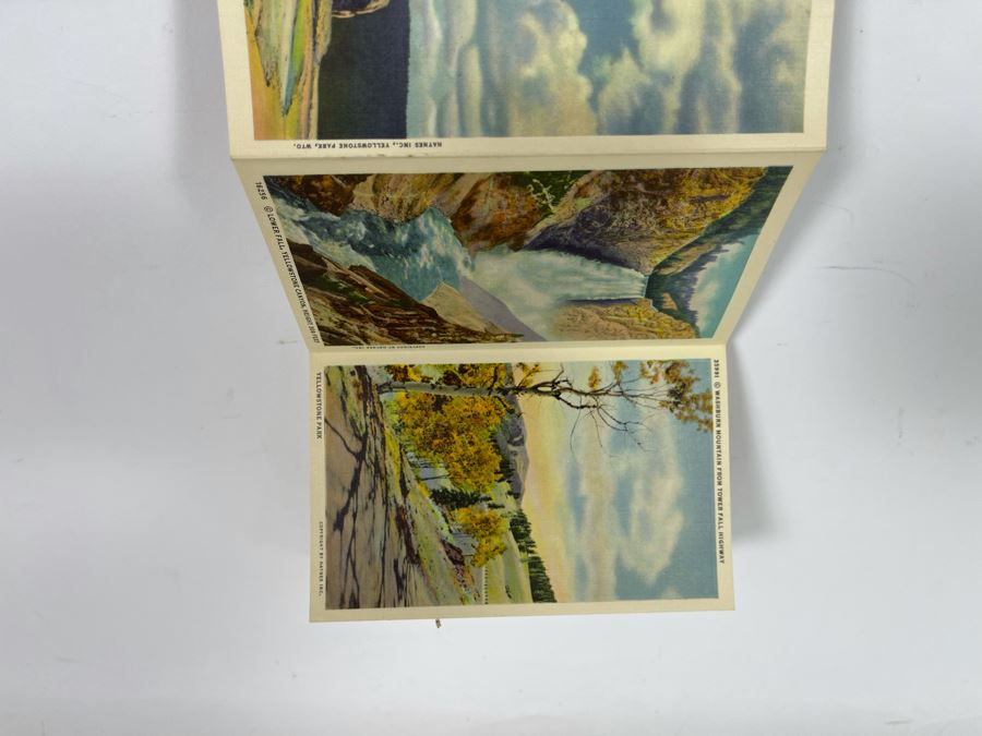 JUST ADDED - Four Vintage Souvenir Accordion Double-Sided Foldout Postcards: Chicago World’s Fair, Yellowstone National Park, California Desert Scenes And California Highways [Photo 31]