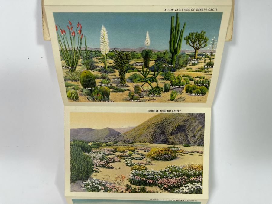 JUST ADDED - Four Vintage Souvenir Accordion Double-Sided Foldout Postcards: Chicago World’s Fair, Yellowstone National Park, California Desert Scenes And California Highways [Photo 21]