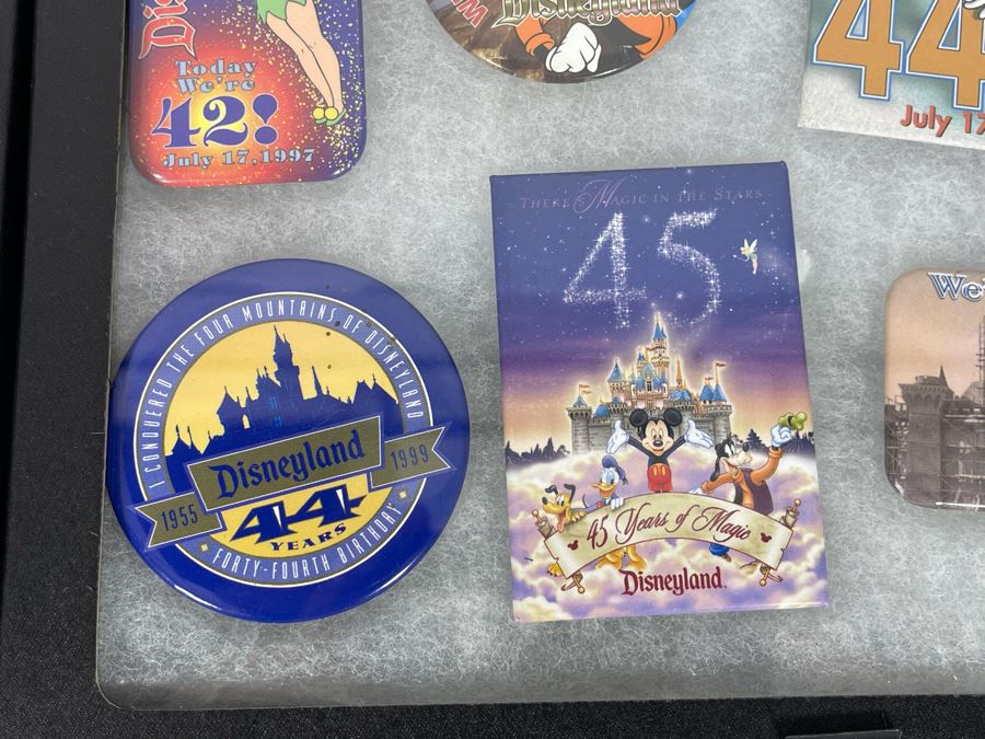 Disneyland Anniversary Buttons And Pin With (4) Display Boxes [Photo 20]