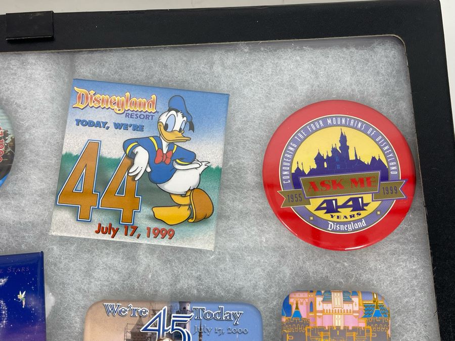 Disneyland Anniversary Buttons And Pin With (4) Display Boxes [Photo 22]