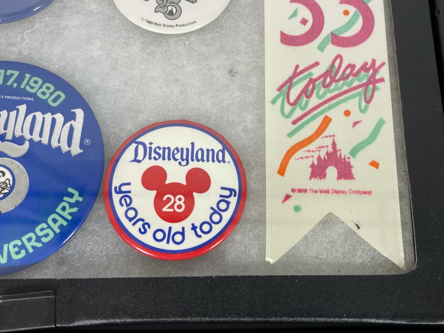 Disneyland Anniversary Buttons And Pin With (4) Display Boxes [Photo 11]
