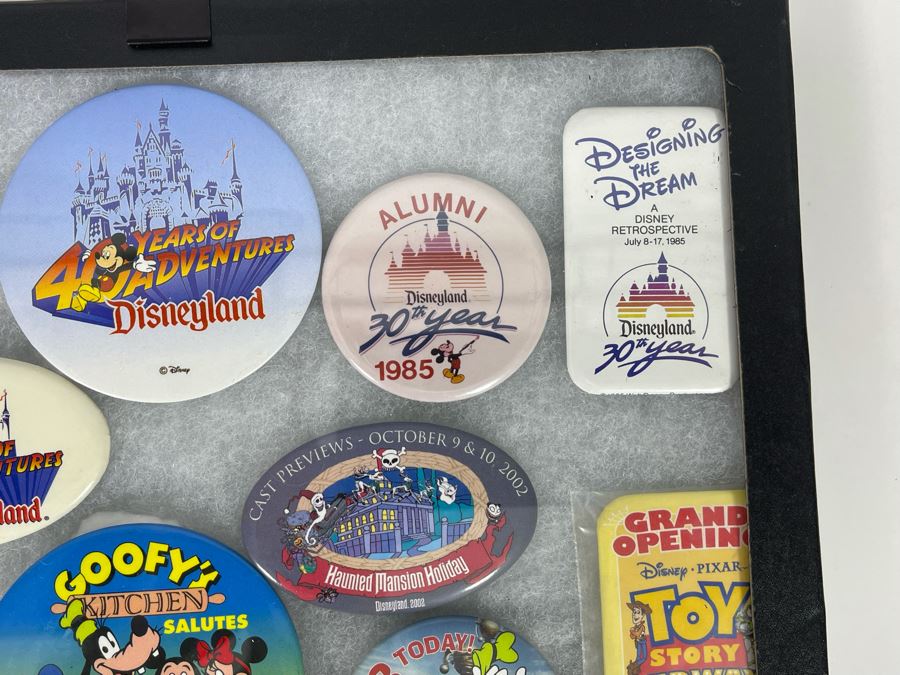 Disneyland Buttons With (4) Display Boxes [Photo 11]