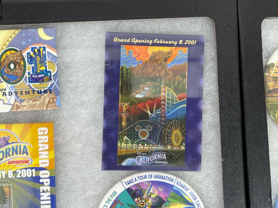 Disneyland Buttons With (4) Display Boxes [Photo 22]