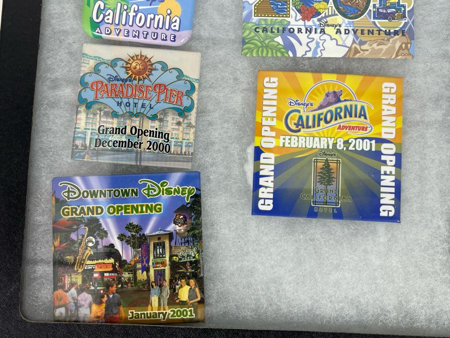 Disneyland Buttons With (4) Display Boxes [Photo 21]