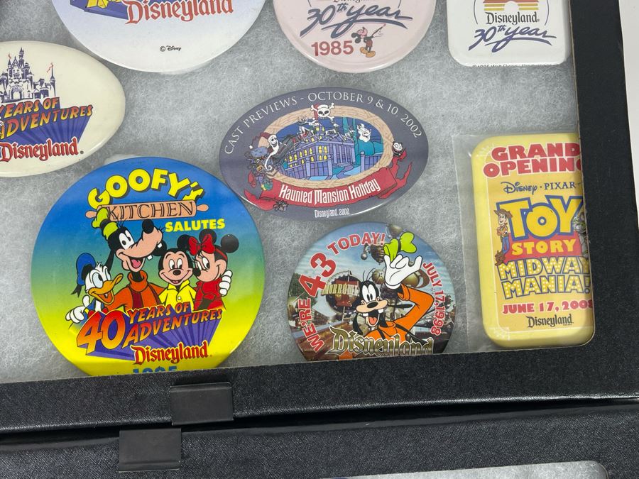 Disneyland Buttons With (4) Display Boxes [Photo 12]