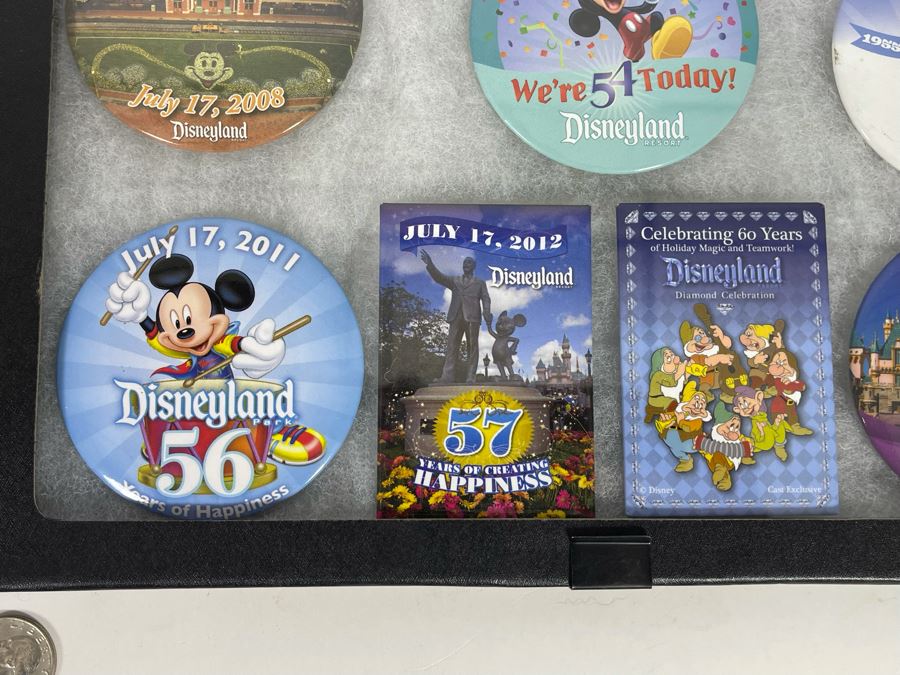 Disneyland Buttons With (4) Display Boxes [Photo 18]
