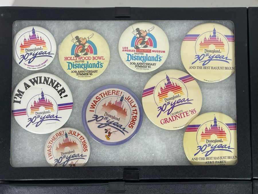 Disneyland Buttons With (4) Display Boxes [Photo 4]