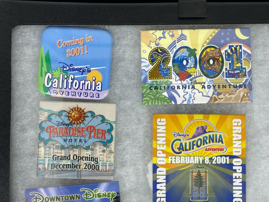 Disneyland Buttons With (4) Display Boxes [Photo 20]