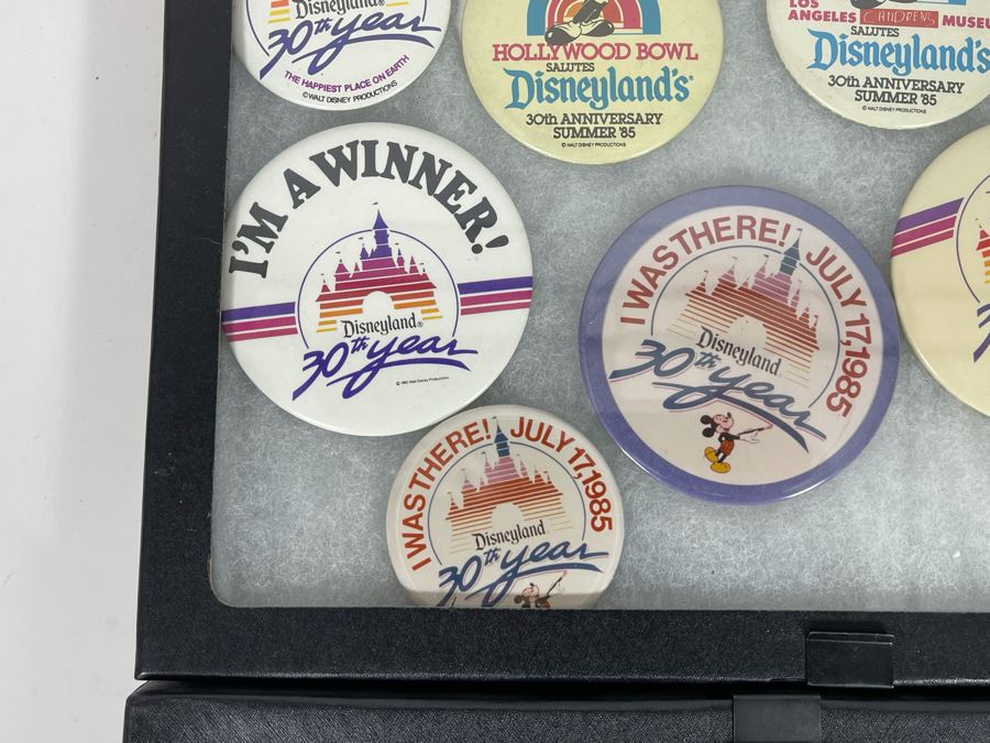 Disneyland Buttons With (4) Display Boxes [Photo 8]