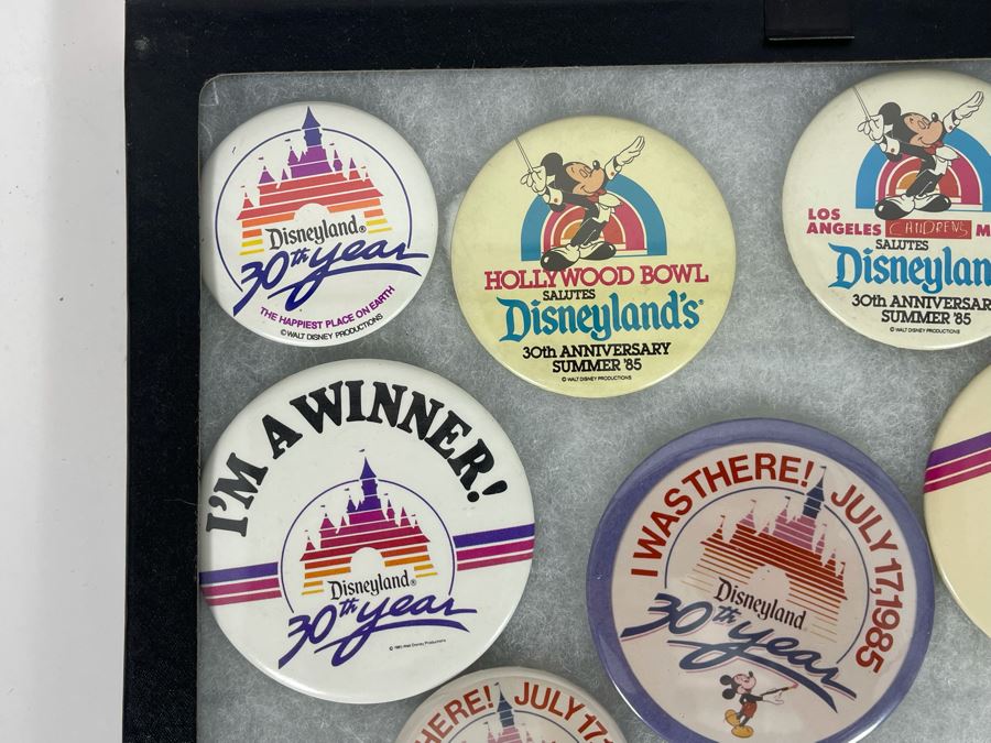 Disneyland Buttons With (4) Display Boxes [Photo 5]