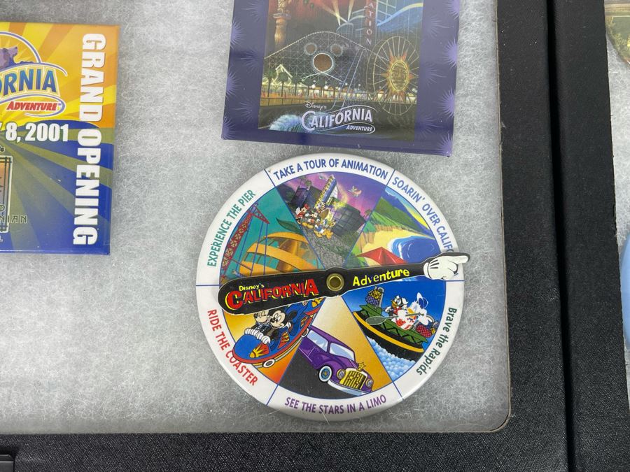 Disneyland Buttons With (4) Display Boxes [Photo 23]