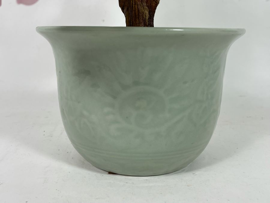 Colored Glass Asian Tree 22H [Photo 4]