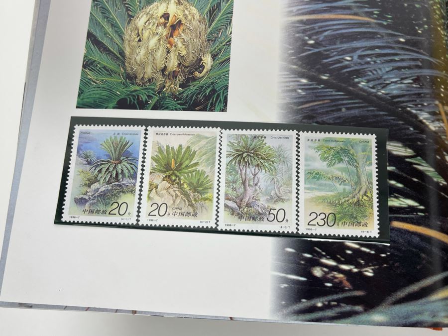 The Stamps Of The People’s Republic Of China 1996 Mint Stamps From China National Philatelic Corporation [Photo 21]