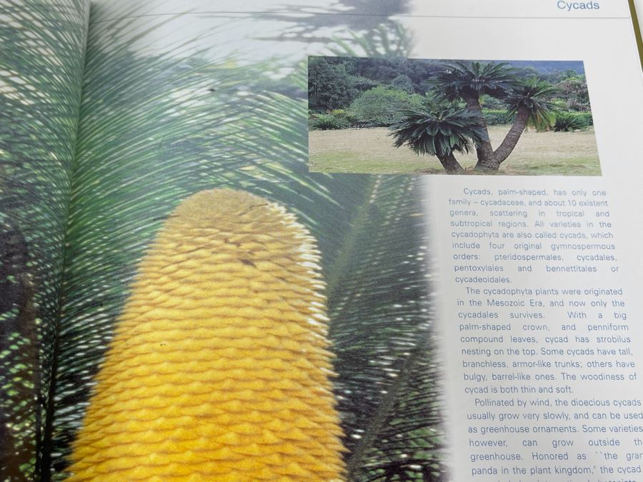 The Stamps Of The People’s Republic Of China 1996 Mint Stamps From China National Philatelic Corporation [Photo 22]