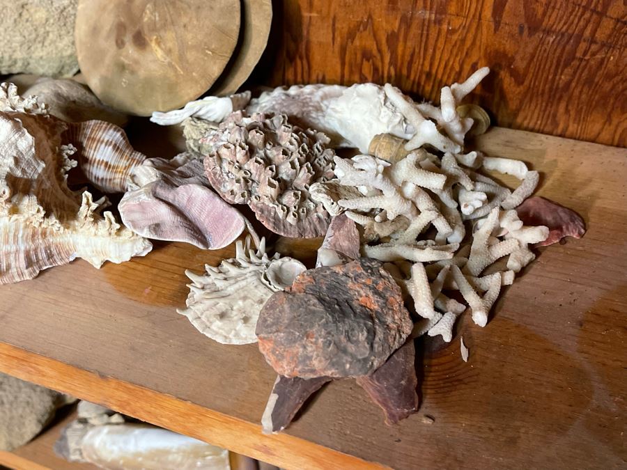 Rock Collection & Various Old Metal Items (Spikes, Nails, Horseshoes, Etc) Accumulated From Prospecting Various Deserts In Arizona, New Mexico, Nevada, Alaska And More - See Photos [Photo 13]