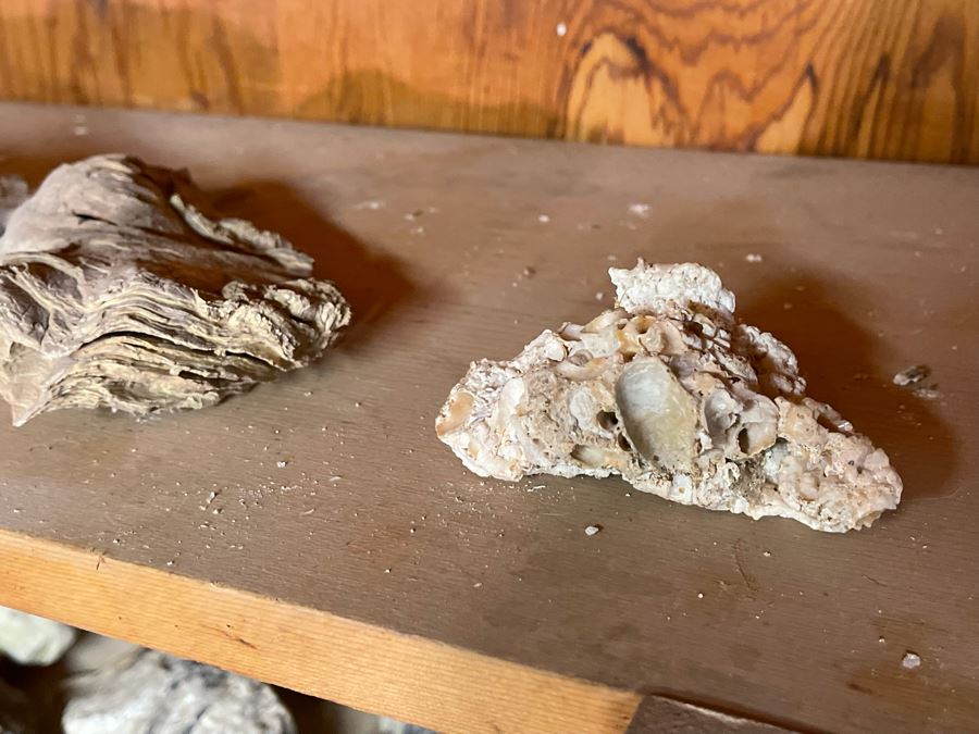 Rock Collection & Various Old Metal Items (Spikes, Nails, Horseshoes, Etc) Accumulated From Prospecting Various Deserts In Arizona, New Mexico, Nevada, Alaska And More - See Photos [Photo 28]