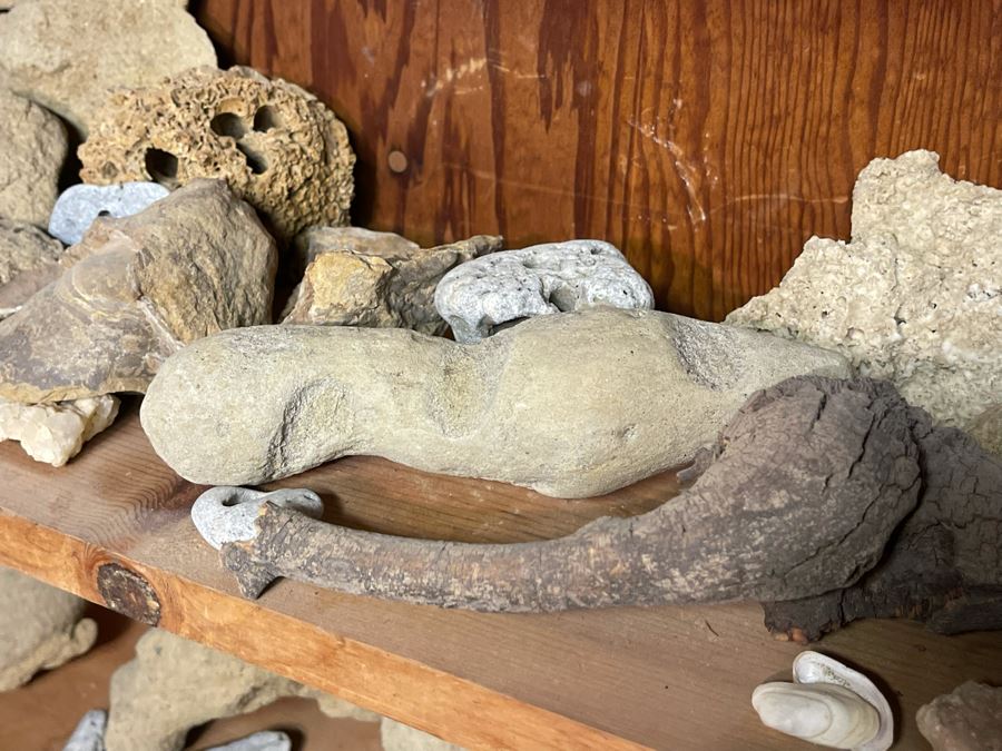 Rock Collection & Various Old Metal Items (Spikes, Nails, Horseshoes, Etc) Accumulated From Prospecting Various Deserts In Arizona, New Mexico, Nevada, Alaska And More - See Photos [Photo 12]