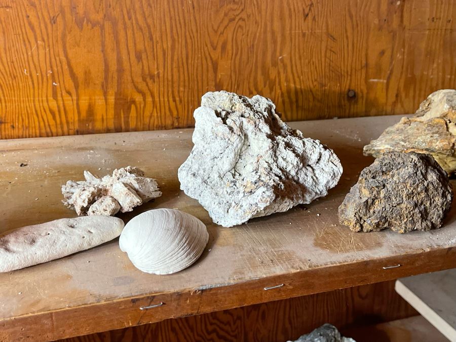 Rock Collection & Various Old Metal Items (Spikes, Nails, Horseshoes, Etc) Accumulated From Prospecting Various Deserts In Arizona, New Mexico, Nevada, Alaska And More - See Photos [Photo 25]