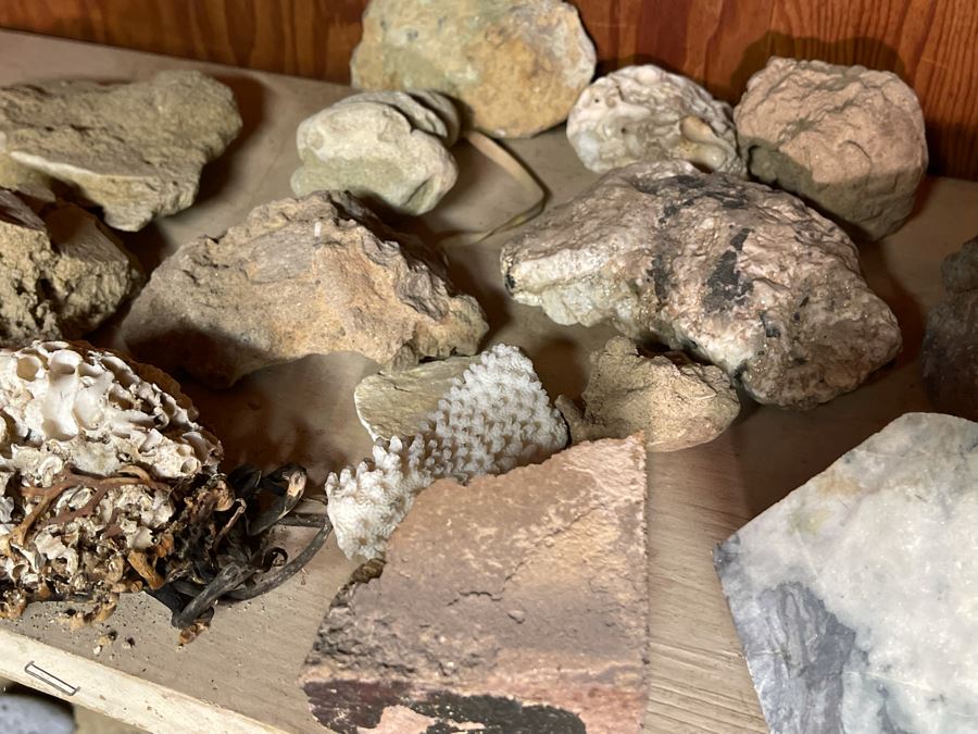 Rock Collection & Various Old Metal Items (Spikes, Nails, Horseshoes, Etc) Accumulated From Prospecting Various Deserts In Arizona, New Mexico, Nevada, Alaska And More - See Photos [Photo 17]