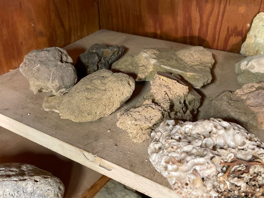Rock Collection & Various Old Metal Items (Spikes, Nails, Horseshoes, Etc) Accumulated From Prospecting Various Deserts In Arizona, New Mexico, Nevada, Alaska And More - See Photos [Photo 18]