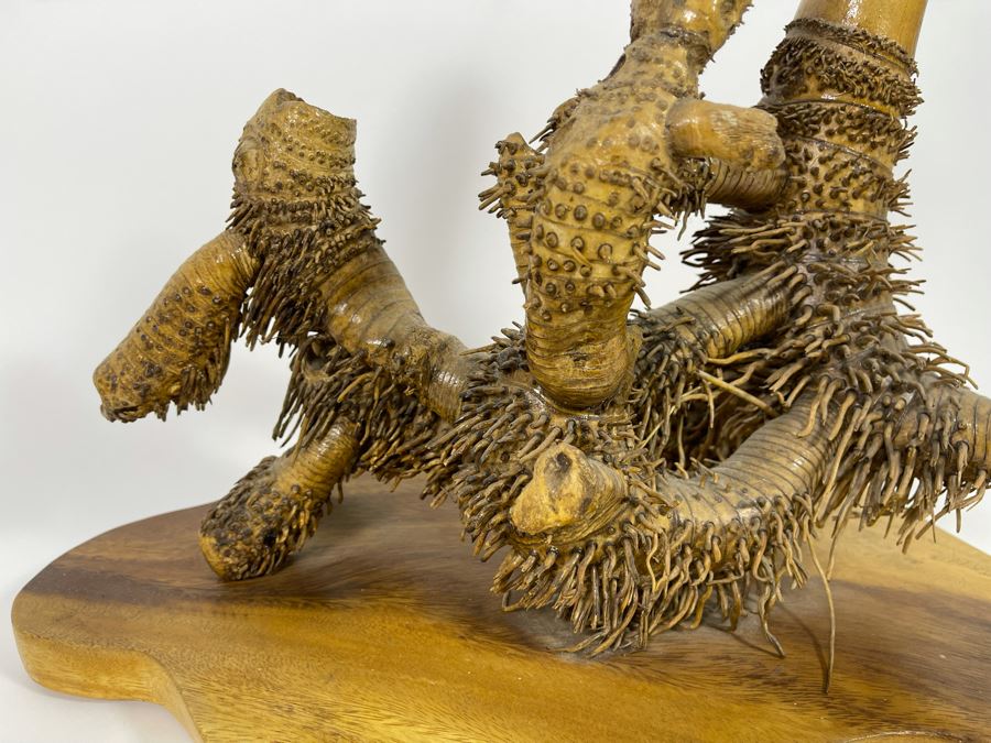 Organic Sculptural Bamboo Root From The Philippines 17W X 13.5D X 15H [Photo 10]