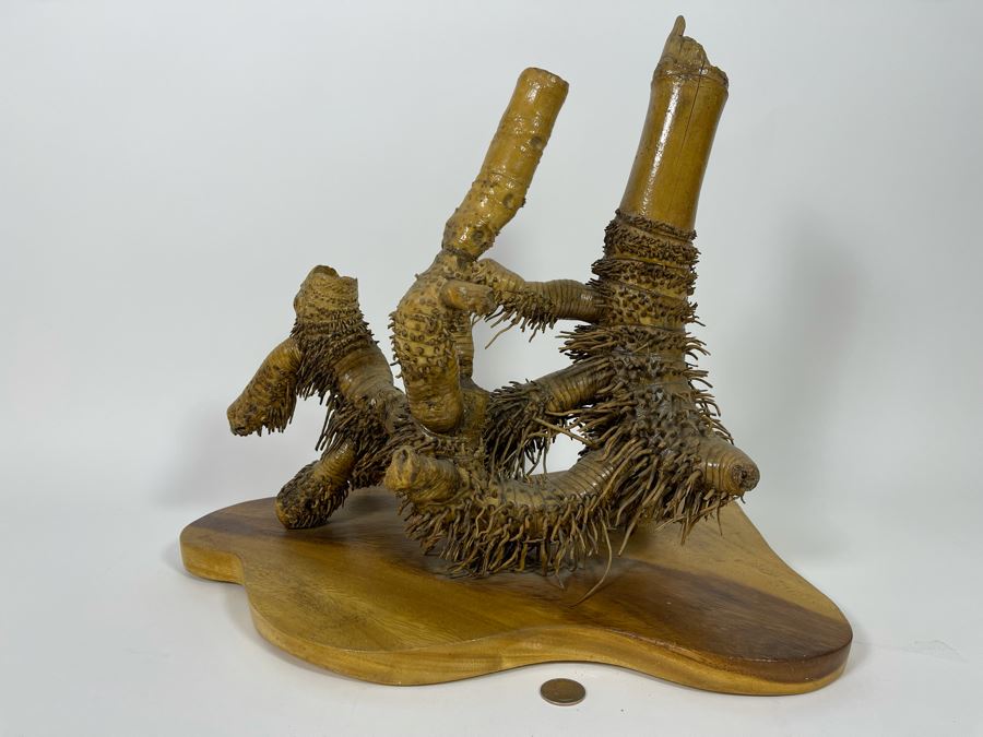 Organic Sculptural Bamboo Root From The Philippines 17W X 13.5D X 15H [Photo 8]