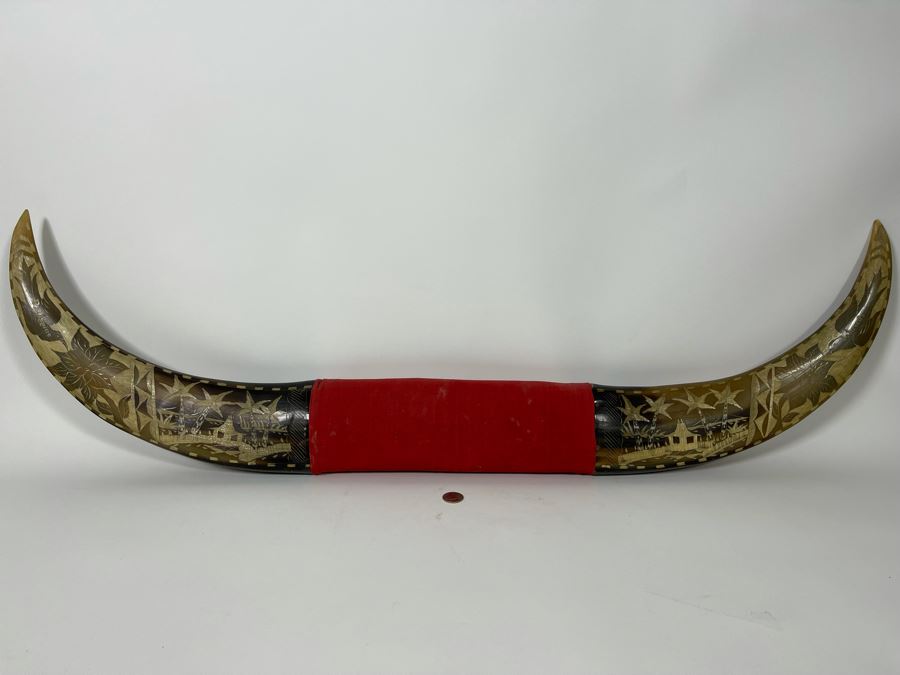 Carved Bull’s Horn From The Philippines 42W [Photo 3]