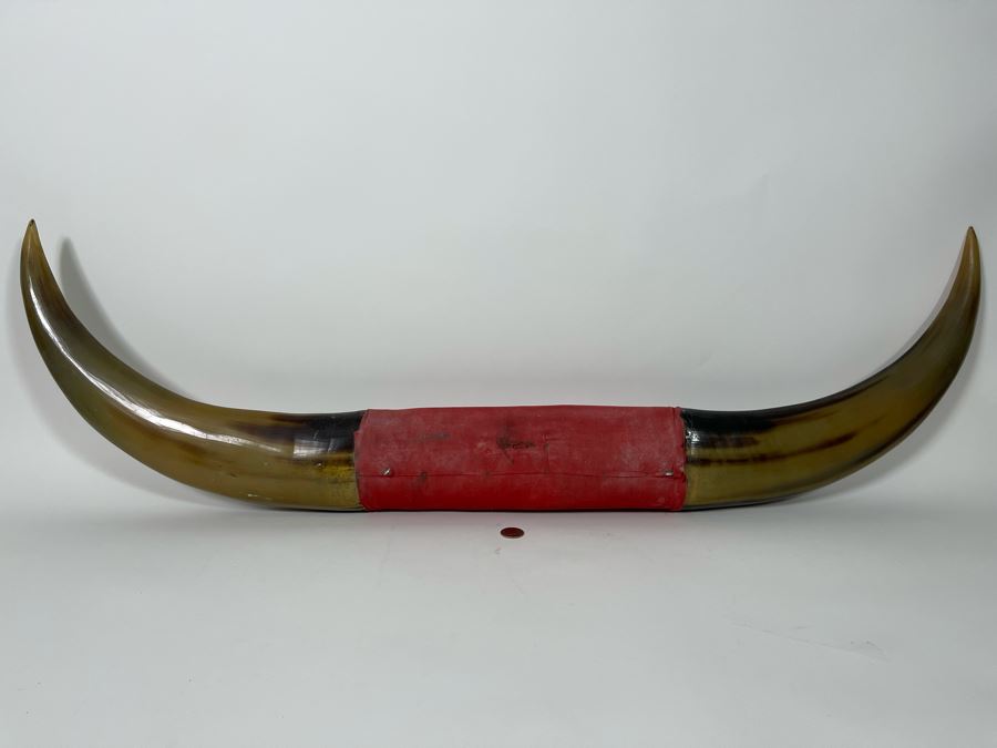Carved Bull’s Horn From The Philippines 42W [Photo 12]
