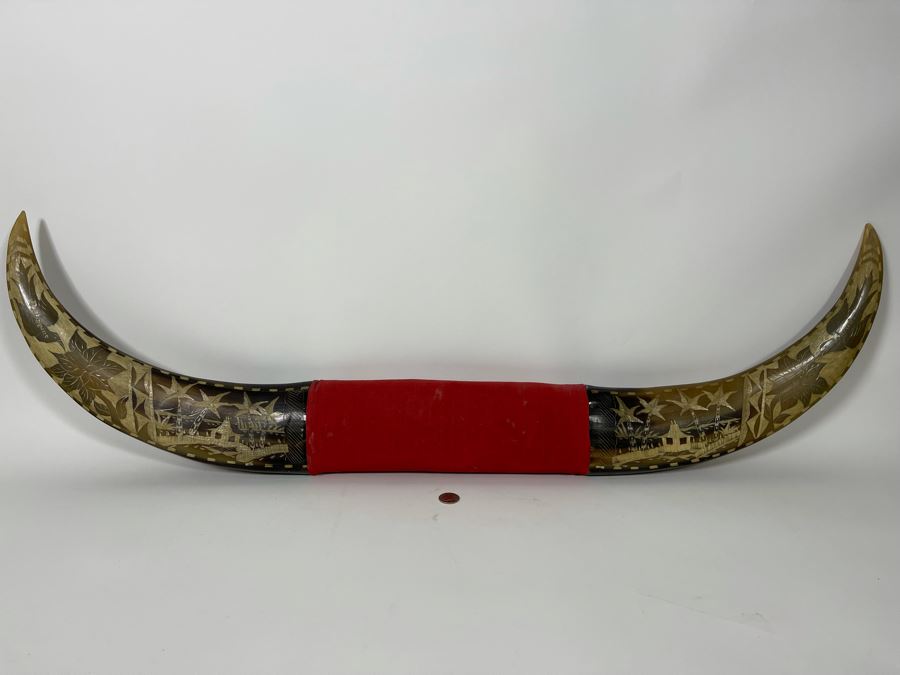 Carved Bull’s Horn From The Philippines 42W [Photo 4]