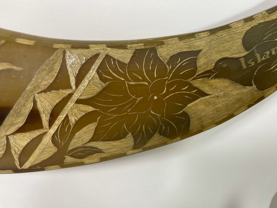 Carved Bull’s Horn From The Philippines 42W [Photo 11]