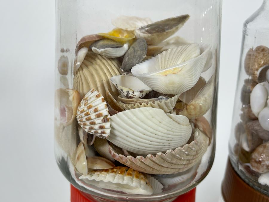 Collection Of Organic Seashells Mainly From The South Pacific Ocean (6 Jars) [Photo 8]