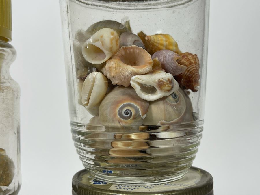 Collection Of Organic Seashells Mainly From The South Pacific Ocean (6 Jars) [Photo 9]