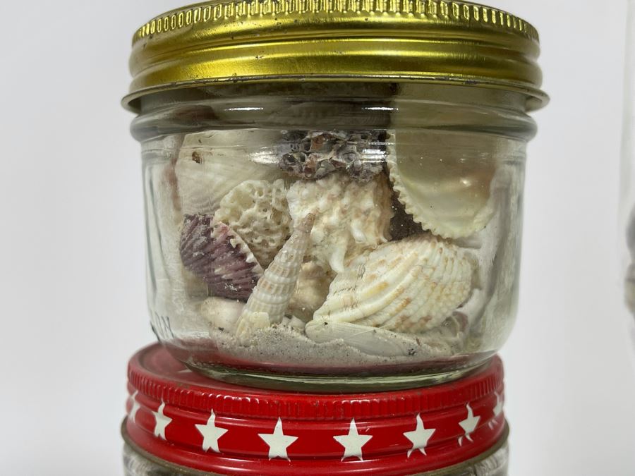Collection Of Organic Seashells Mainly From The South Pacific Ocean (6 Jars) [Photo 19]