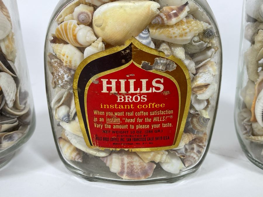Collection Of Organic Seashells Mainly From The South Pacific Ocean (6 Jars) [Photo 8]