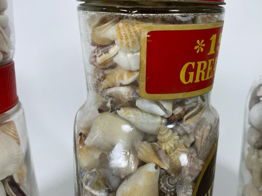 Collection Of Organic Seashells Mainly From The South Pacific Ocean (6 Jars) [Photo 13]