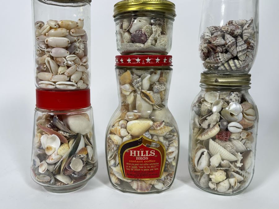 Collection Of Organic Seashells Mainly From The South Pacific Ocean (6 Jars) [Photo 3]