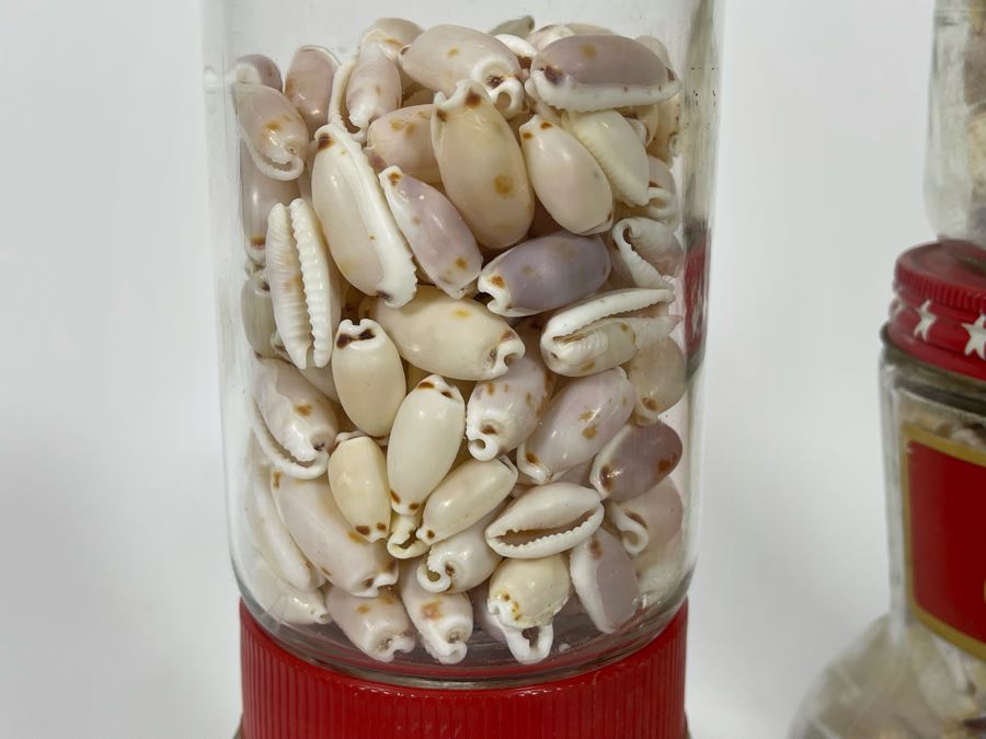 Collection Of Organic Seashells Mainly From The South Pacific Ocean (6 Jars) [Photo 17]