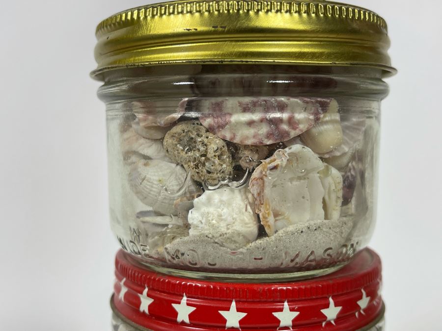 Collection Of Organic Seashells Mainly From The South Pacific Ocean (6 Jars) [Photo 18]