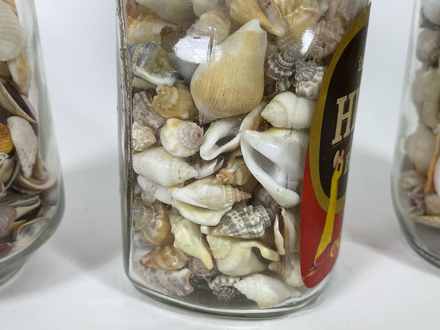 Collection Of Organic Seashells Mainly From The South Pacific Ocean (6 Jars) [Photo 12]