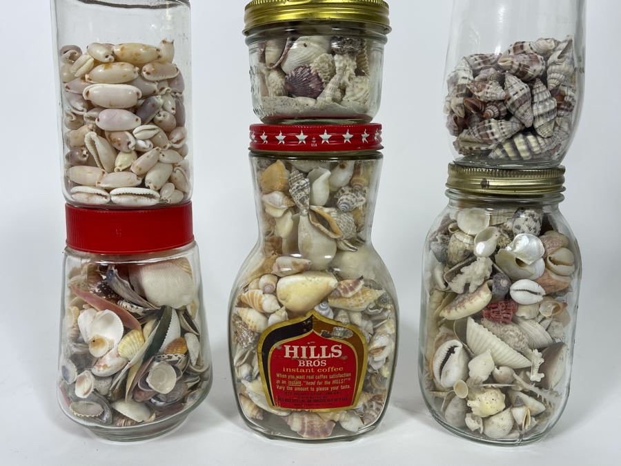 Collection Of Organic Seashells Mainly From The South Pacific Ocean (6 Jars) [Photo 2]