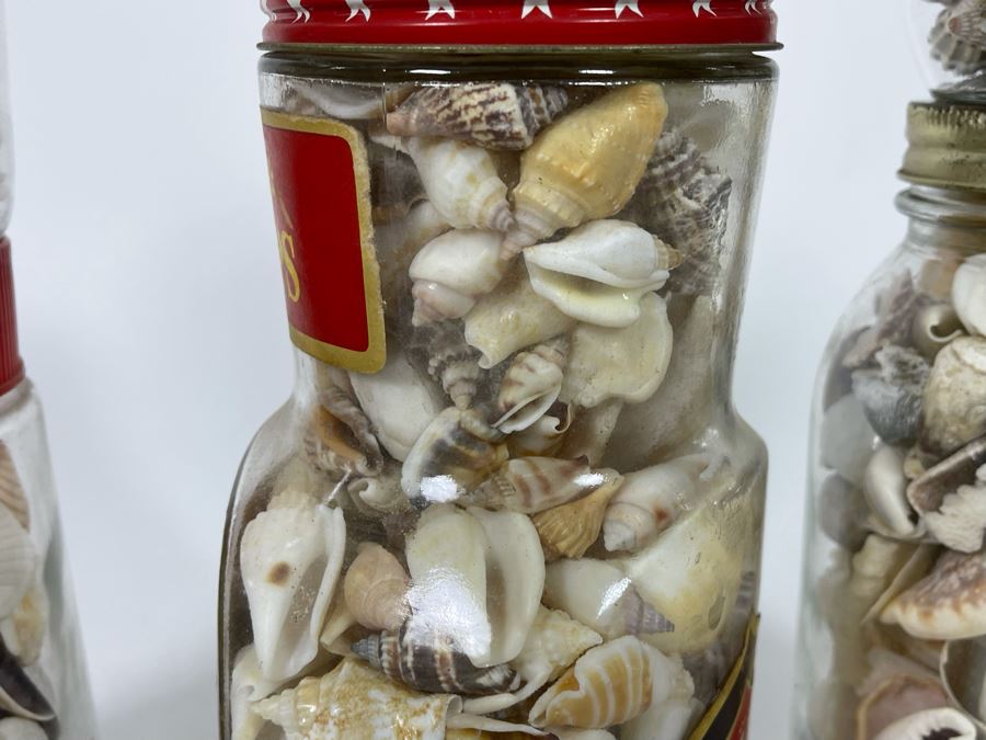 Collection Of Organic Seashells Mainly From The South Pacific Ocean (6 Jars) [Photo 11]