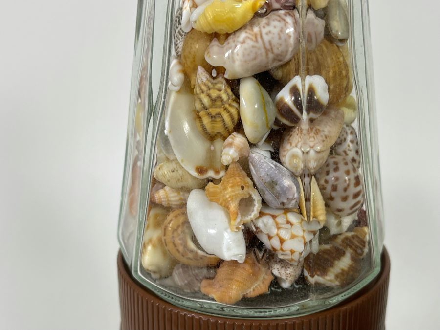 Collection Of Organic Seashells Mainly From The South Pacific Ocean (6 Jars) [Photo 14]